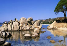 大坂直美迎来二十赛季出色发挥，日本队观众热烈欢呼！